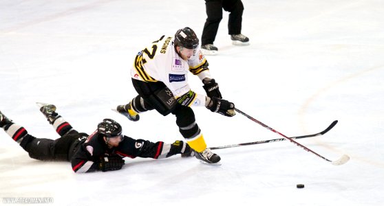 Bracknell Bees Vs Basingstoke Bison