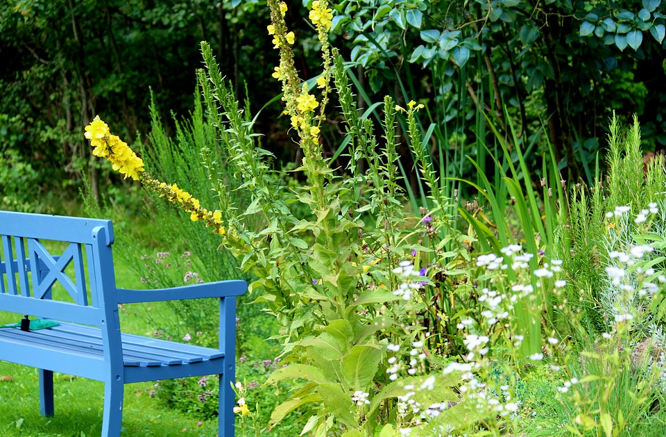 Oasis rest relaxation