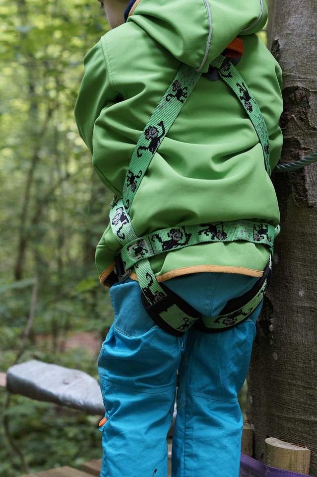 Climbing forest climbing garden courage
