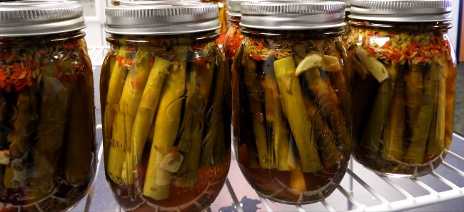 Pickled asparagus jars photo