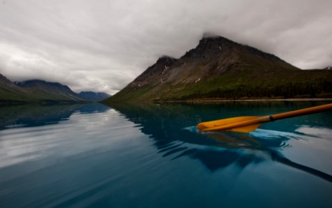 Paddling Forward photo