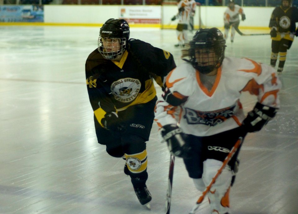 Bracknell Firebees At Basingstoke Bears