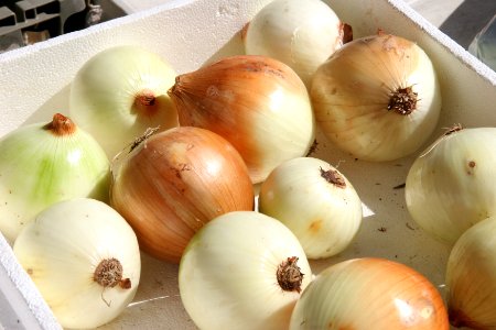 Yellow and White Onions