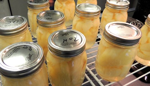Canned pears close up photo