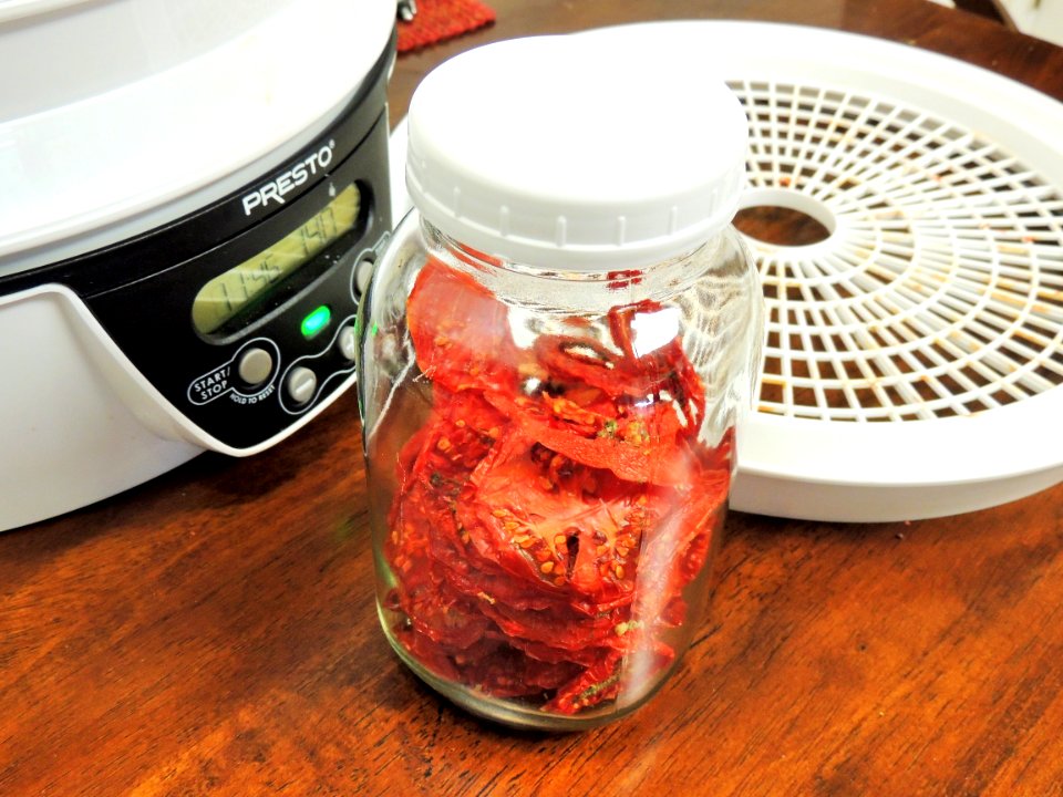 Dried tomatoes in lidded conditioning jar