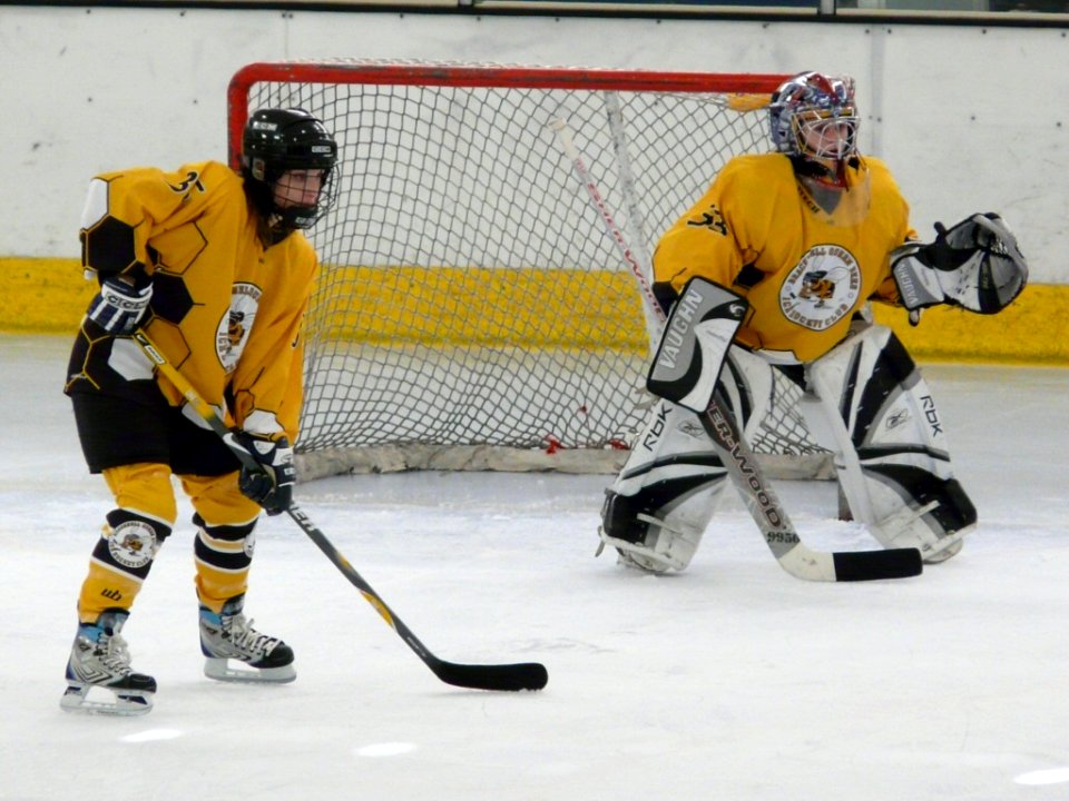 Bracknell Firebees Vs Swindon Topcats