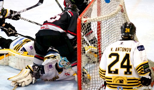 Bracknell Bees Vs Basingstoke Bison