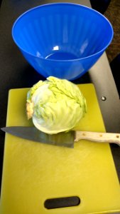 Cabbage with bowl, knife, and cutting board photo