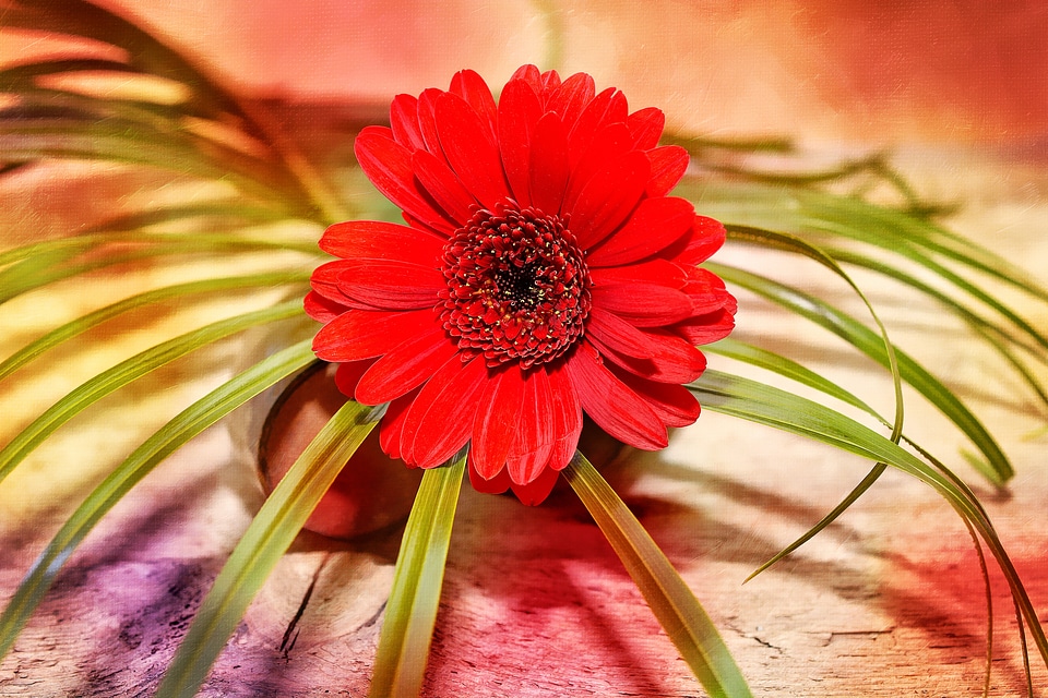 Plant grass decoration
