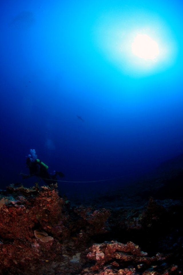 Deep Reef Survey at Maro Reef