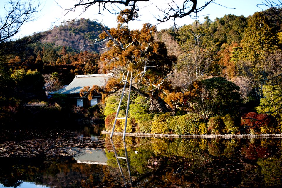 Kyoto, Japan, 01/2013 photo