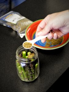 Adding spices to jar of pickled asparagus photo