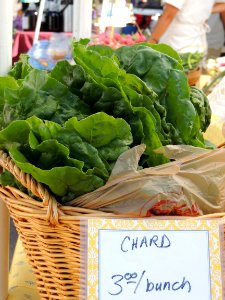 Fresh Chard