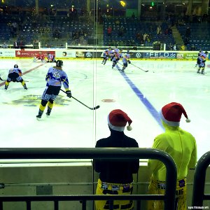 Ice Hockey Match - Krefeld Pinguine
