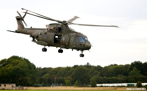Wings And Wheels - Merlin