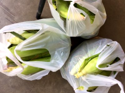 Bags of fresh corn