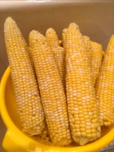 Corn cobs in colander photo