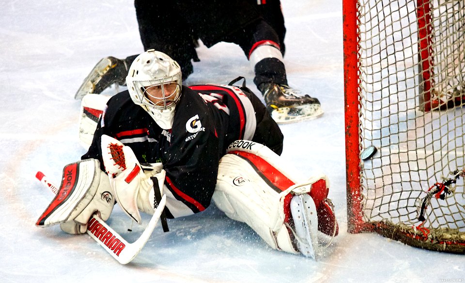 Bracknell Bees Vs Basingstoke Bison