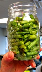 Packed mason jar with cut green beans photo