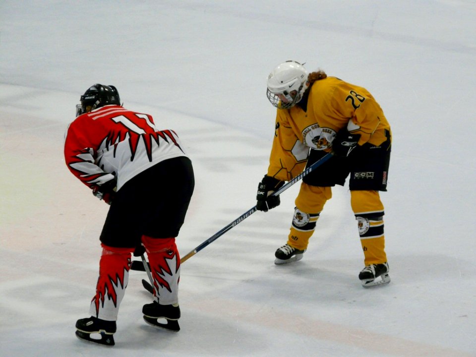 Bracknell Firebees Vs Swindon Topcats