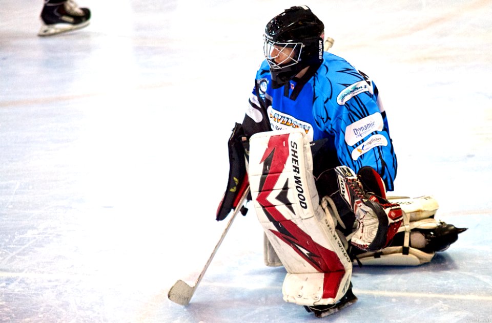 Best of 2013/14 Season: EPL and NIHL