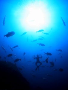 Yoga Pose Underwater