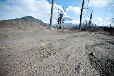 Merapi danger zone photo