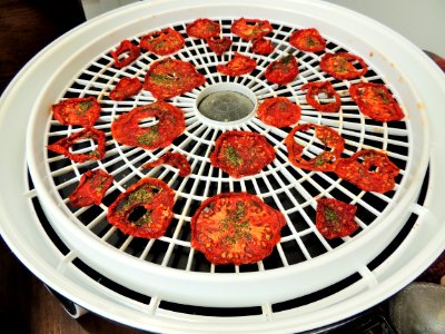 Dried tomatoes on drying tray