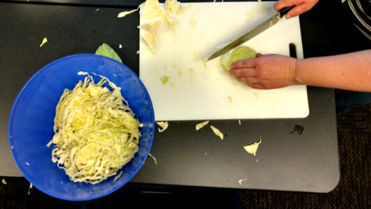 Slicing cabbage for fermentation photo