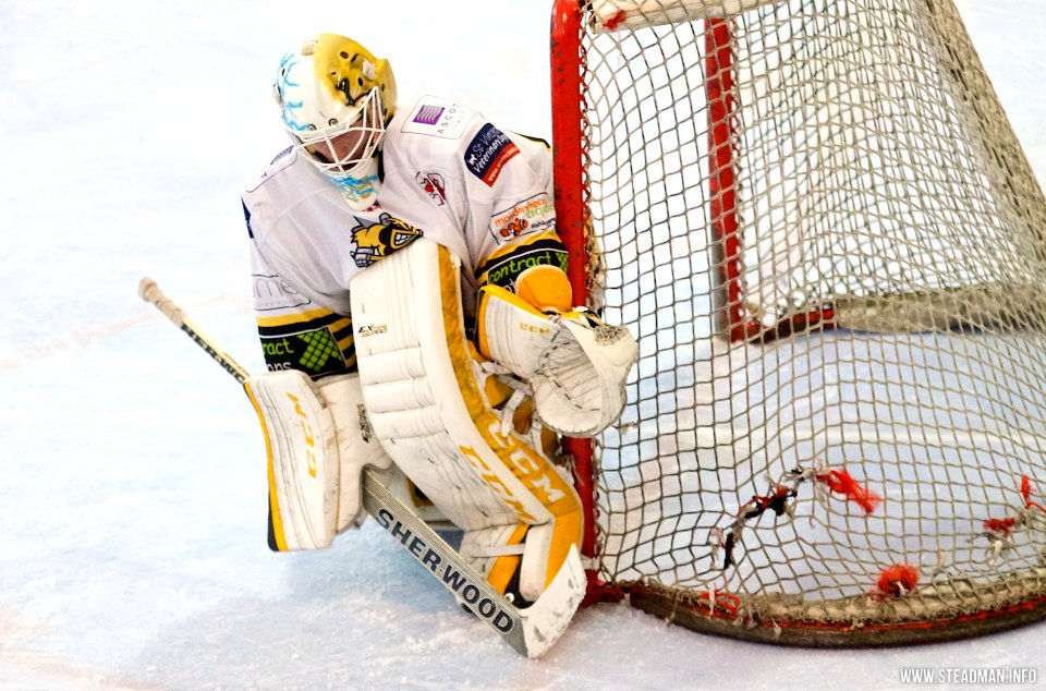 Bracknell Bees Vs Basingstoke Bison