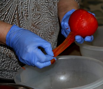 Peeling tomatoes for salsa photo