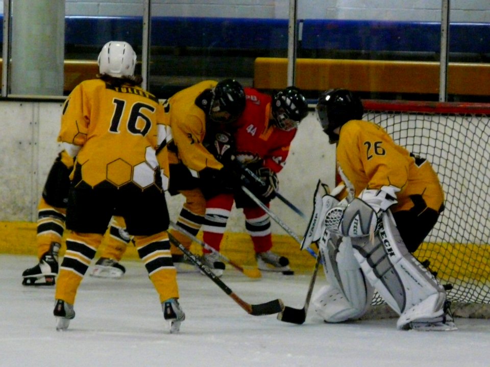 Firebees Vs Basingstoke Bison Ladies