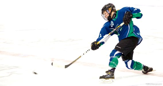 EIHA Trophy Weekend Final - Queen Bees Vs Diamonds