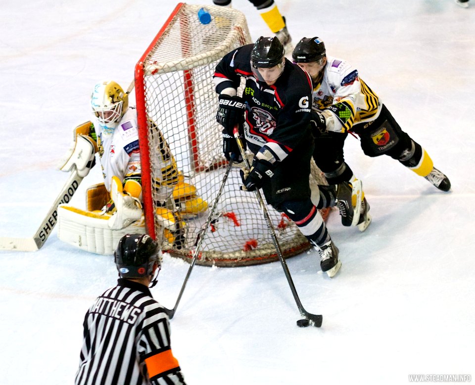 Bracknell Bees Vs Basingstoke Bison