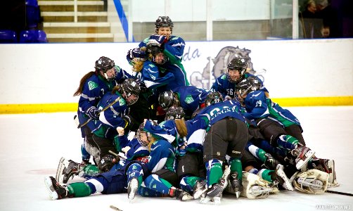 EIHA Trophy Weekend Final - Queen Bees Vs Diamonds