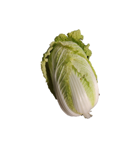 Napa Cabbage photo