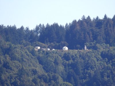 IMGP0206