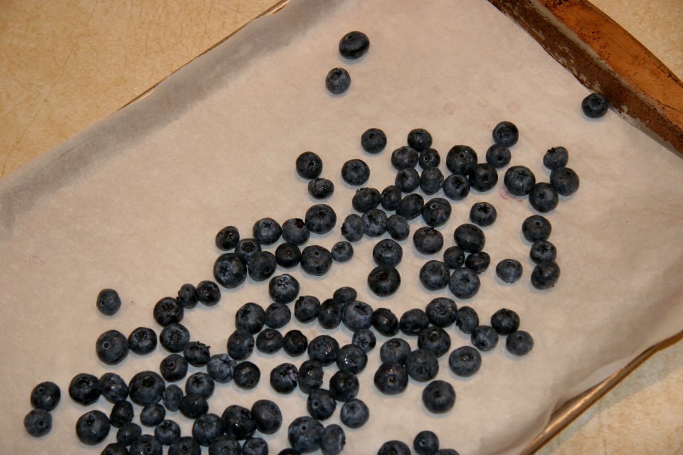 Blueberries placed on sheet