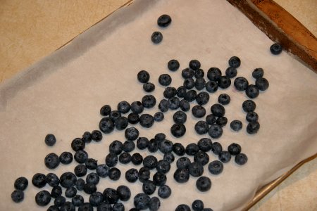 Blueberries placed on sheet
