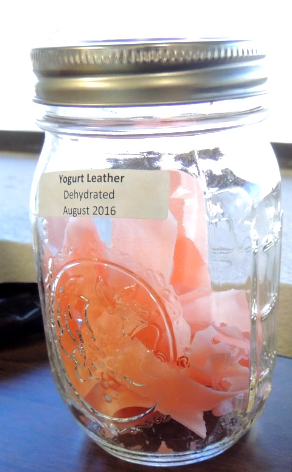 Dehydrated yogurt leather