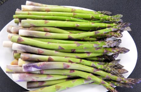 Fresh asparagus spears on plate photo