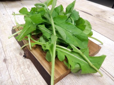 Arugula photo