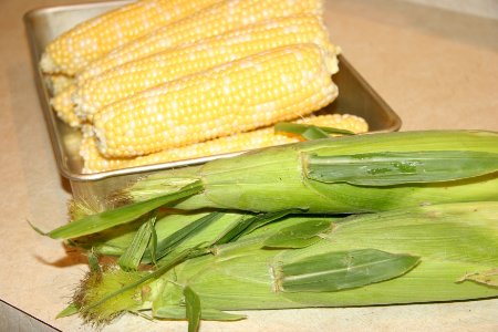 Fresh and husked corn photo