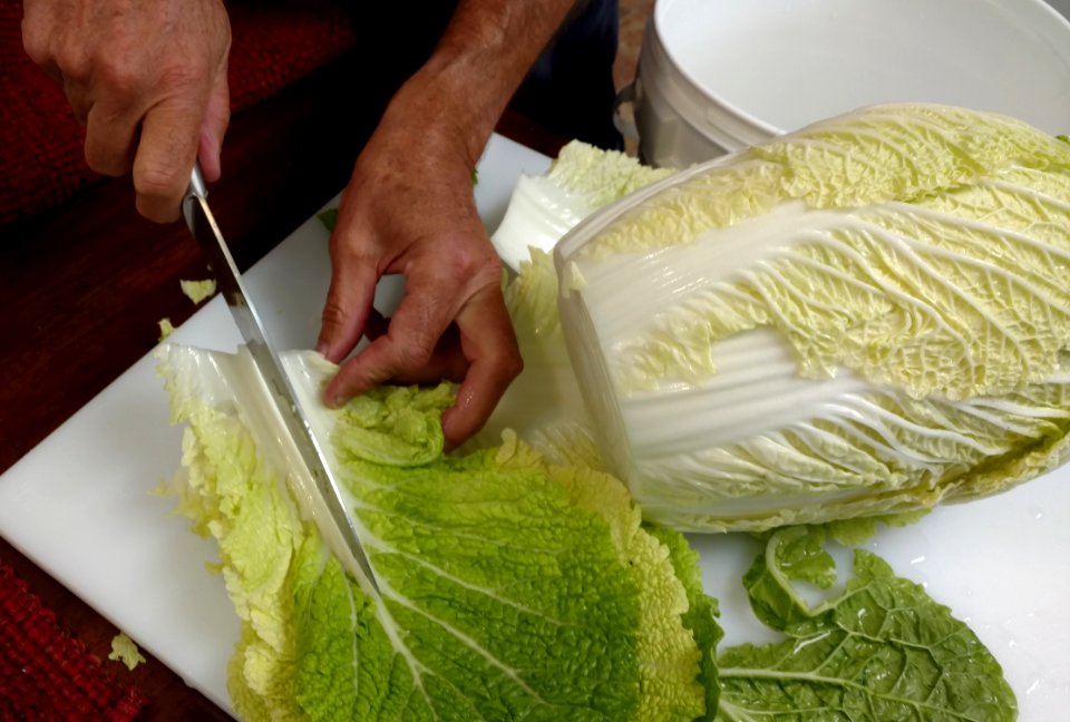 Preparing cabbage for kimchi
