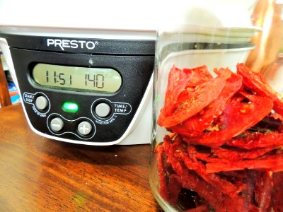 Dehydrator set at 140F for drying tomatoes photo