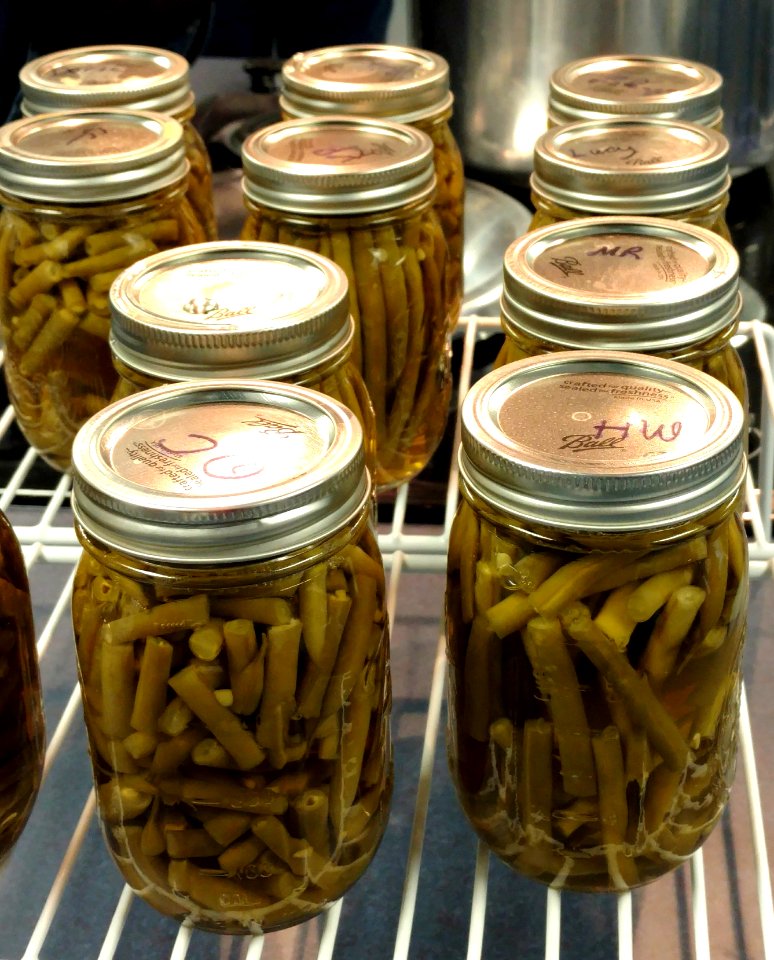 Canned green beans cooling on rack