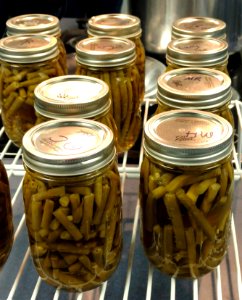 Canned green beans cooling on rack photo