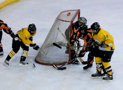 Bracknell Firebees Vs Basingstoke Bears