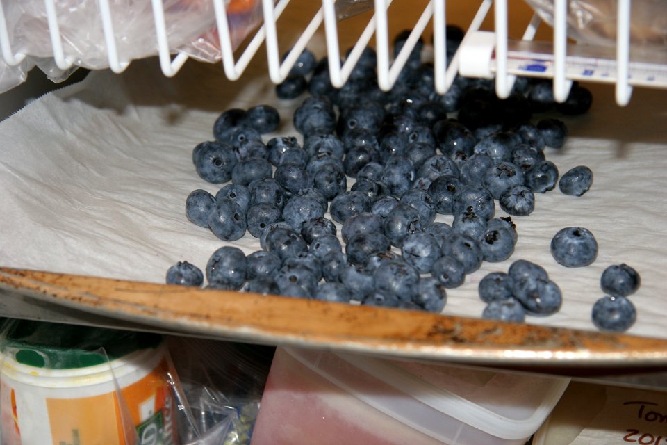 Freezing blueberries separately