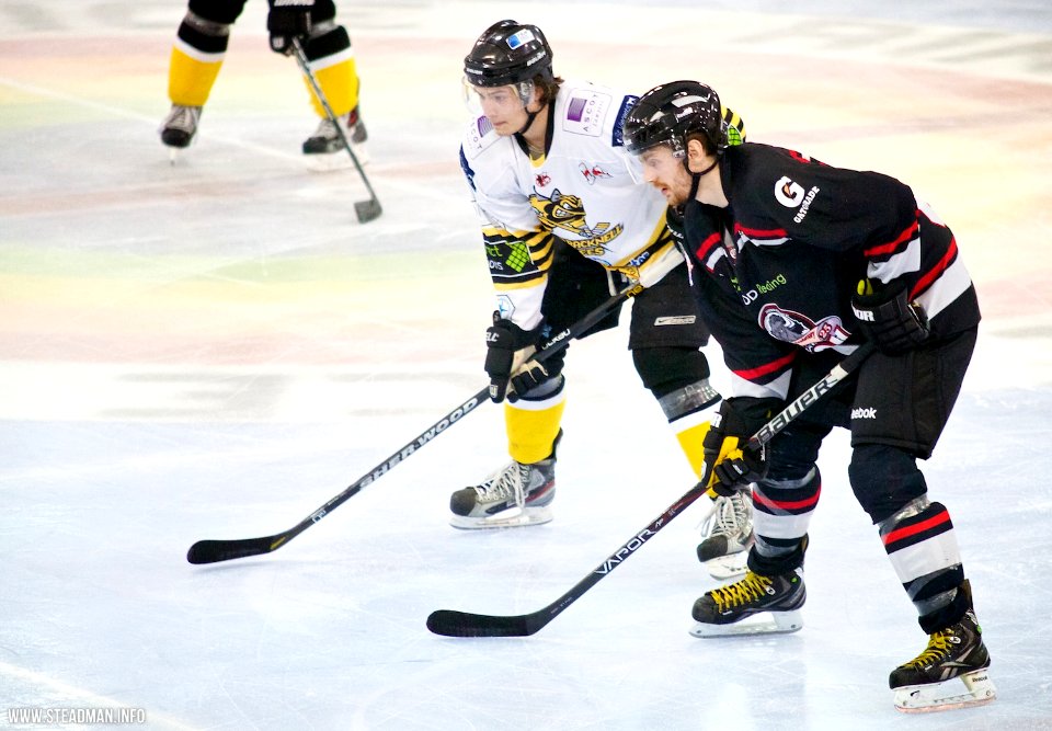 Bracknell Bees Vs Basingstoke Bison